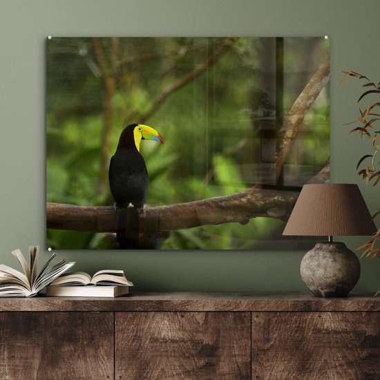 MuchoWow® Peinture sur verre 80x60 cm - Peinture sur verre acrylique - Dos d'un toucan sur une branche - Photo sur verre - Peintures