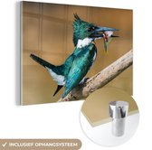 MuchoWow® Peinture sur verre 150x100 cm - Peinture sur verre acrylique - Vogel - Poisson - Branche - Photo sur verre - Peintures