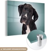 MuchoWow® Glasschilderij 150x100 cm - Schilderij acrylglas - Lieve zwart-witte hond - Foto op glas - Schilderijen