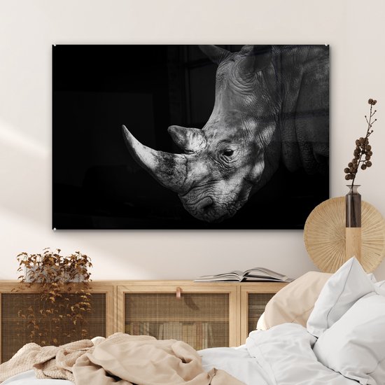 Peinture sur Verre - Rhinocéros - Animal - Lumière - 120x80 cm - Peintures Plexiglas