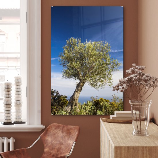 MuchoWow® Glasschilderij 80x120 cm - Schilderij acrylglas - Een olijfboom onder een blauwe lucht - Foto op glas - Schilderijen