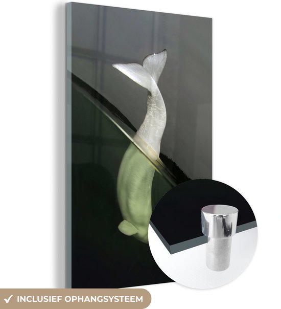 MuchoWow® Glasschilderij 60x90 cm - Schilderij acrylglas - Dolfijn - Water - Wit - Foto op glas - Schilderijen