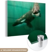 MuchoWow® Glasschilderij 120x80 cm - Schilderij acrylglas - Twee orka's in het water - Foto op glas - Schilderijen