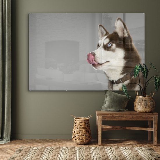 MuchoWow® Peinture sur verre - Husky - Animal - Lécher - 180x120 cm - Peintures sur verre acrylique - Photo sur Glas