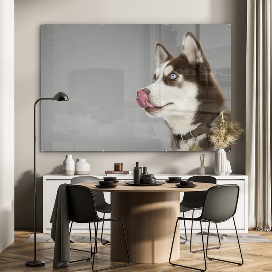 MuchoWow® Peinture sur verre - Husky - Animal - Lécher - 180x120 cm - Peintures sur verre acrylique - Photo sur Glas