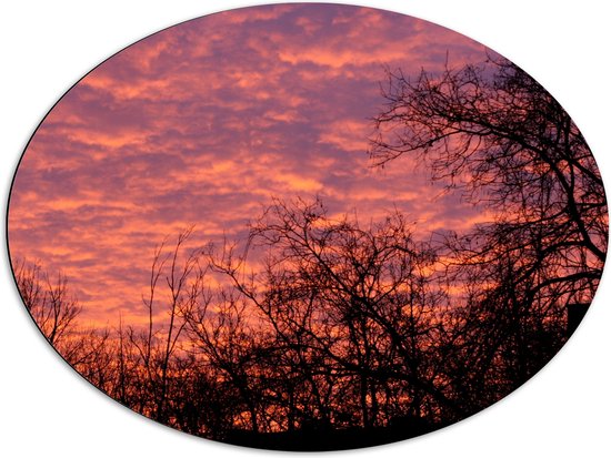 Dibond Ovaal - Silhouet van Bomen onder Roze met Paarse Lucht - 80x60 cm Foto op Ovaal (Met Ophangsysteem)