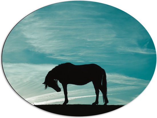 Dibond Ovaal - Silhouet van Buigend Paard onder Stralend Blauwe Lucht - 80x60 cm Foto op Ovaal (Met Ophangsysteem)
