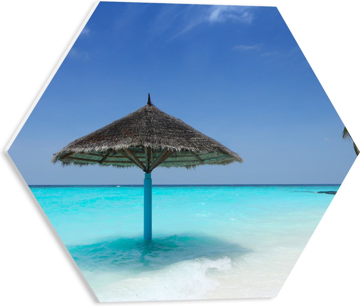 PVC Schuimplaat Hexagon - Rieten Parasol op het Strand bij het Blauwe Water - 40x34.8 cm F
