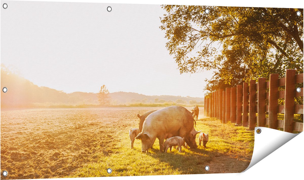 Gards Tuinposter Varken Familie - Varkens - 120x60 cm - Tuindoek - Tuindecoratie - Wanddecoratie buiten - Tuinschilderij Multikleur