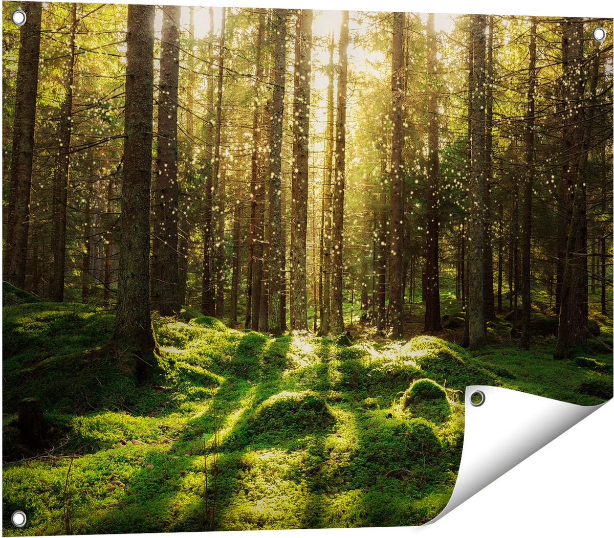 Gards Tuinposter Bos met Groen Mos op de Grond - 80x60 cm - Tuindoek - Tuindecoratie - Wanddecoratie buiten - Tuinschilderij Multikleur