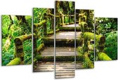 Peinture sur verre d'escalier | Vert, marron, gris | 170x100cm 5 Liège | Tirage photo sur verre |  F005932