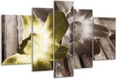 Peinture sur verre fleur | Vert, gris, blanc | 170x100cm 5 Liège | Tirage photo sur verre |  F002565