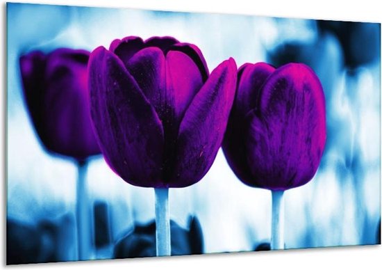 Peinture sur verre tulipe | Violet, bleu, blanc | 120x70cm 1Hatch | Tirage photo sur verre |  F003819