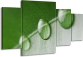 GroepArt - Schilderij -  Druppels - Groen, Wit - 160x90cm 4Luik - Schilderij Op Canvas - Foto Op Canvas