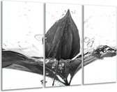 Glasschilderij Bloem - Zwart, Wit, Grijs - 120x80cm 3Luik - Foto Op Glas - Geen Acrylglas Schilderij - GroepArt 6000+ Glas Art Collectie - Maatwerk Mogelijk