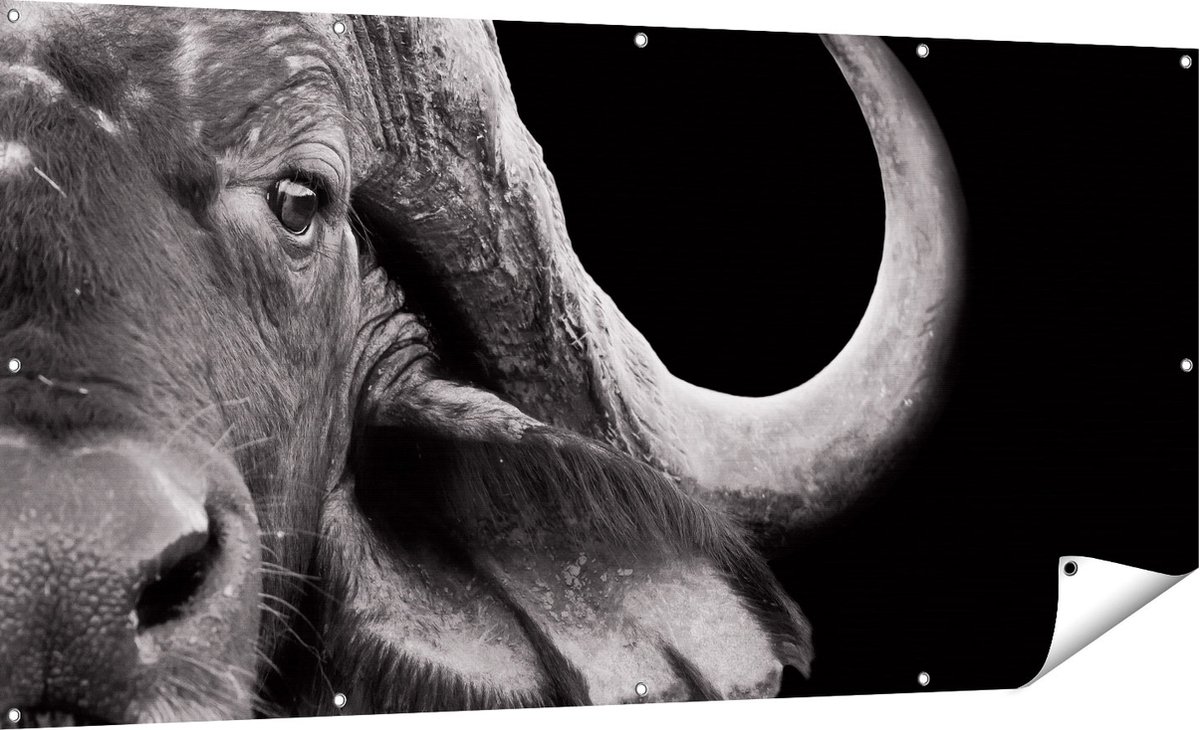 Gards Tuinposter Buffel - Buffelkop - Zwart Wit - 180x90 cm - Tuindoek - Tuindecoratie - Wanddecoratie buiten - Tuinschilderij Multikleur