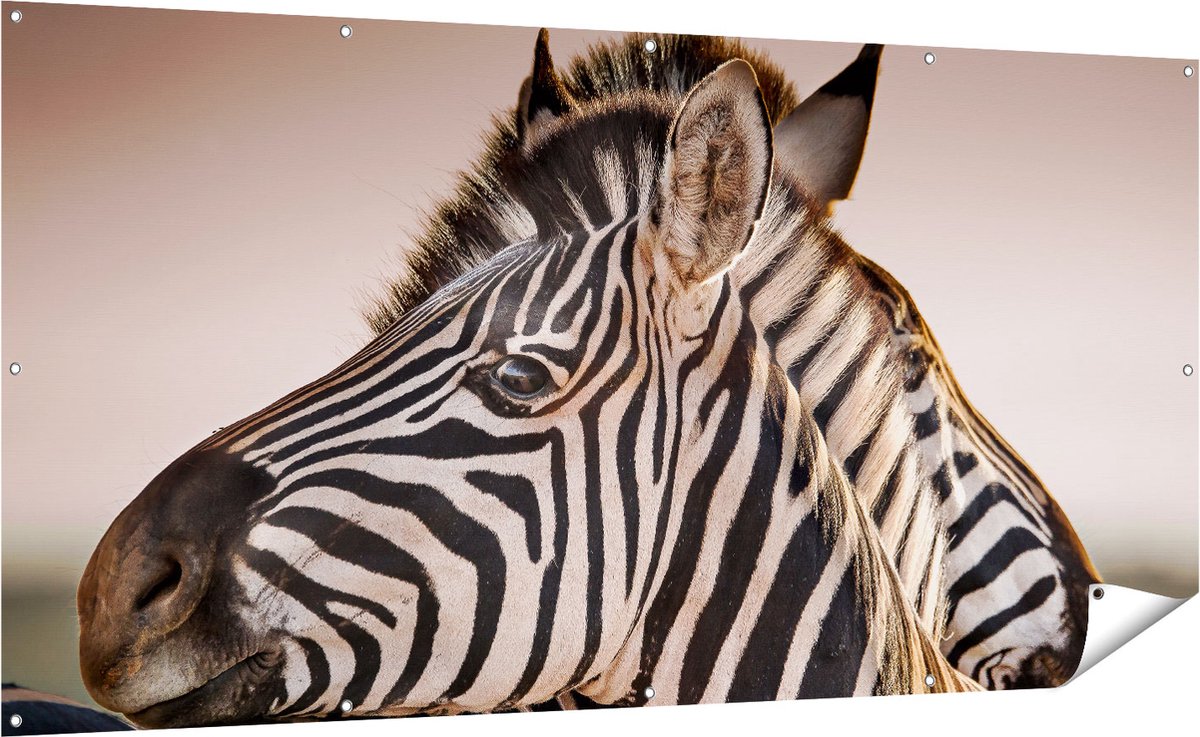 Gards Tuinposter Twee Knuffelende Zebra's - 200x100 cm - Tuindoek - Tuindecoratie - Wanddecoratie buiten - Tuinschilderij Multikleur
