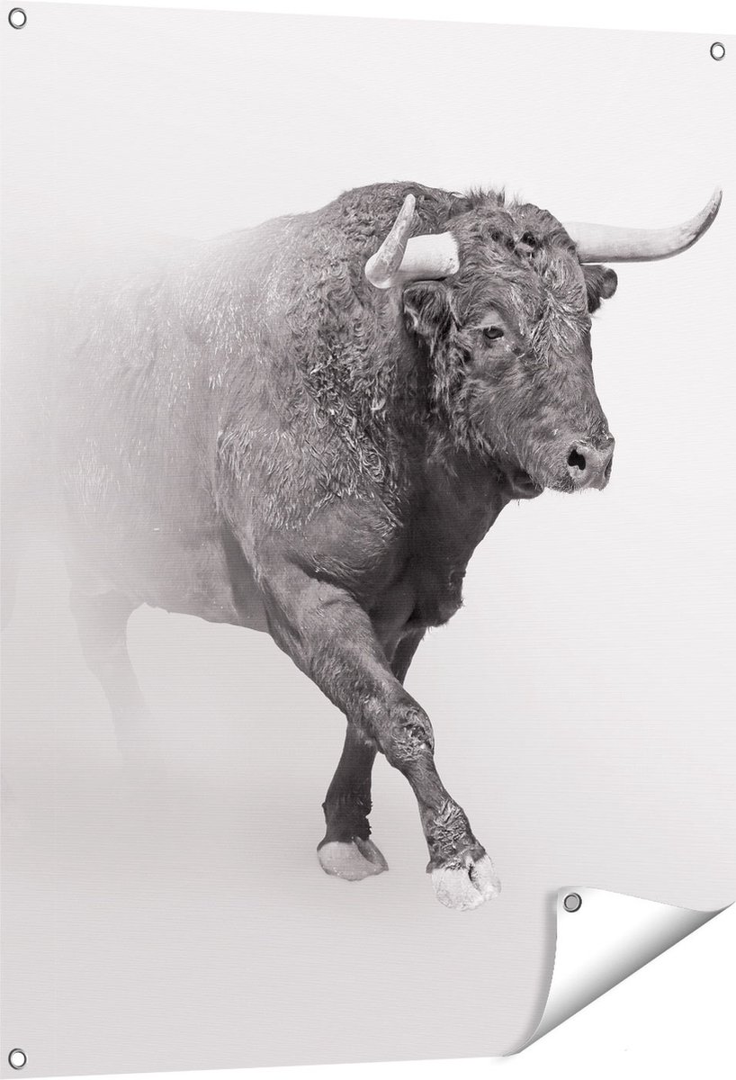 Gards Tuinposter Stier op een Grijze Achtergrond - Zwart Wit - 80x100 cm - Tuindoek - Tuindecoratie - Wanddecoratie buiten - Tuinschilderij Multikleur