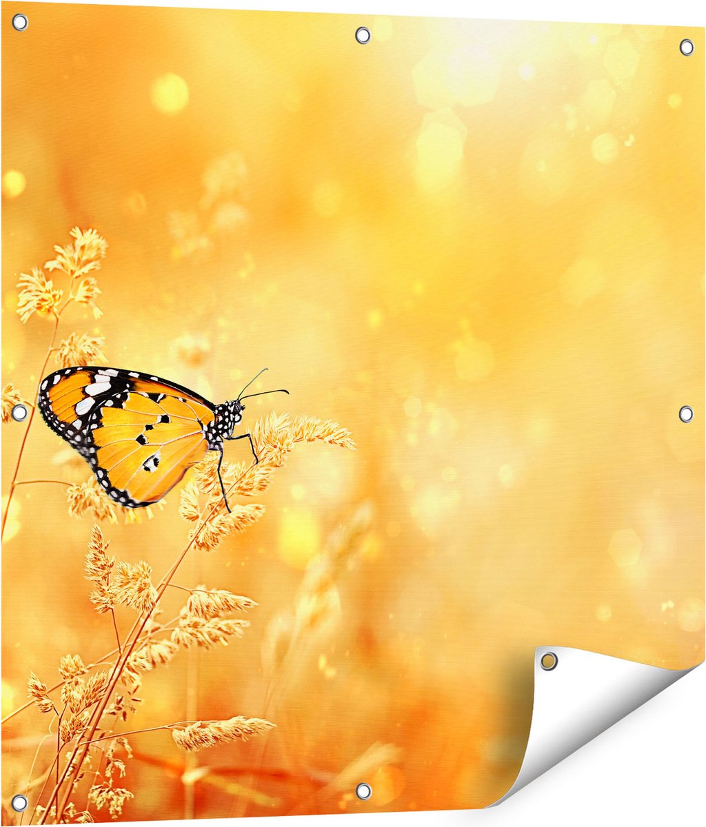 Gards Tuinposter Oranje Vlinder in het Oranje Veld - 80x80 cm - Tuindoek - Tuindecoratie - Wanddecoratie buiten - Tuinschilderij Multikleur