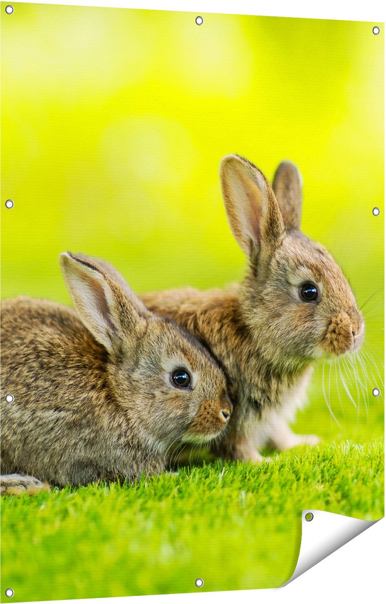 Gards Tuinposter Twee Konijnen op het Groene Gras - 90x120 cm - Tuindoek - Tuindecoratie - Wanddecoratie buiten - Tuinschilderij Multikleur