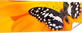 Gards Tuinposter Vlinder op een Oranje Bloem - 180x60 cm - Tuindoek - Tuindecoratie - Wanddecoratie buiten - Tuinschilderij