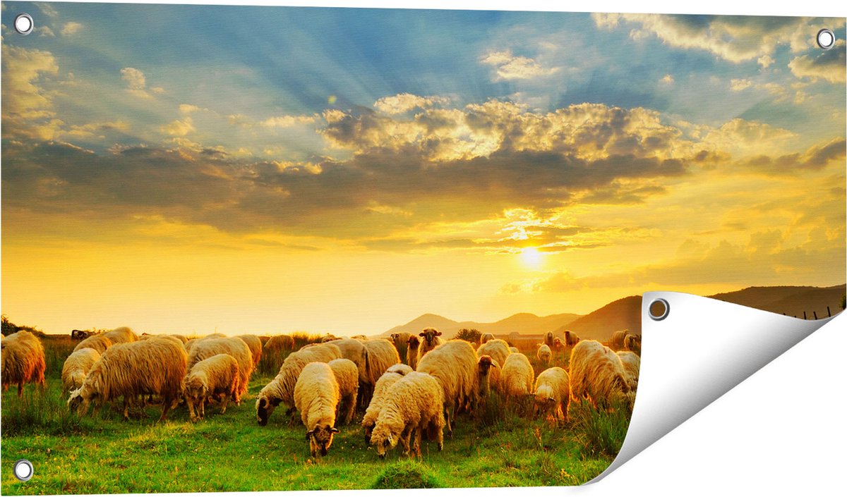 Gards Tuinposter Kudde Schapen op het Gras bij Zonsondergang - 80x40 cm - Tuindoek - Tuindecoratie - Wanddecoratie buiten - Tuinschilderij Multikleur