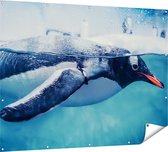 Gards Tuinposter Pingu�n Zwemt in het Water - 160x120 cm - Tuindoek - Tuindecoratie - Wanddecoratie buiten - Tuinschilderij