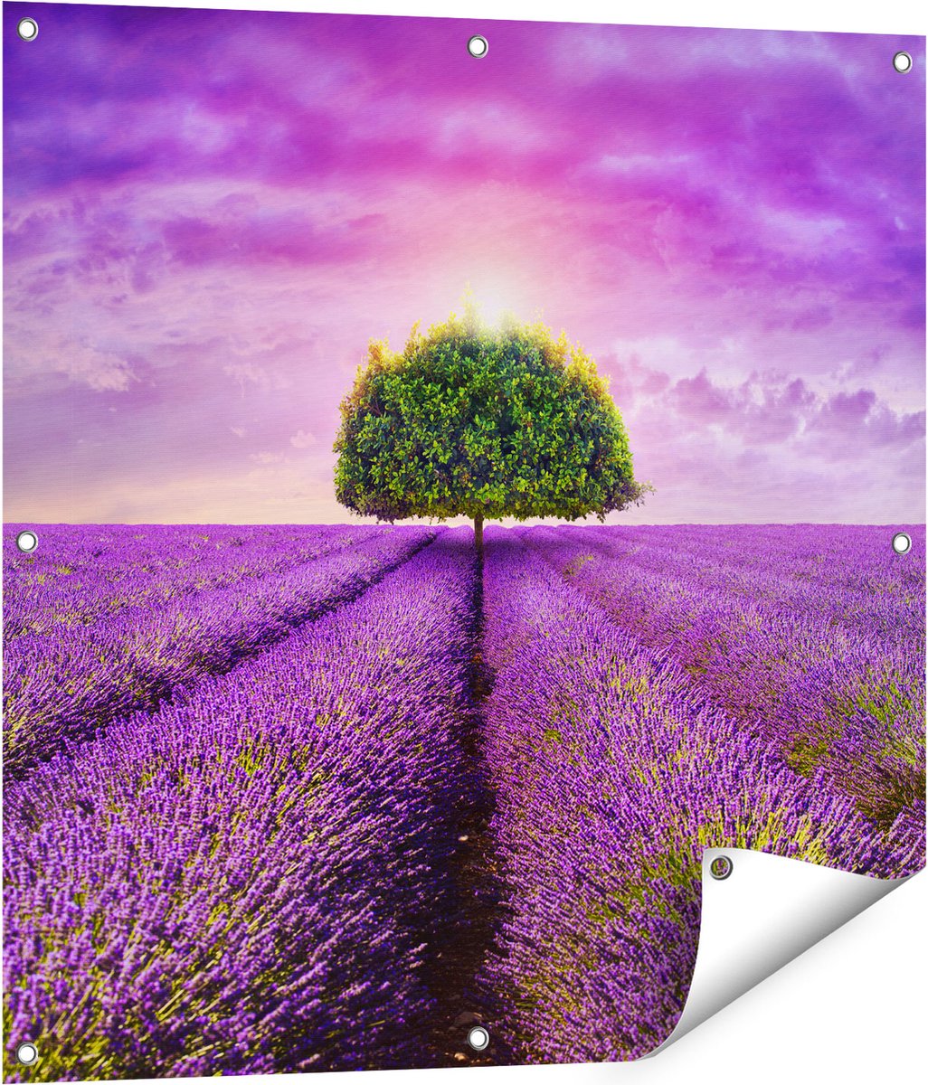 Gards Tuinposter Groene Boom in de Lavendel Bloemen - 80x80 cm - Tuindoek - Tuindecoratie - Wanddecoratie buiten - Tuinschilderij Multikleur
