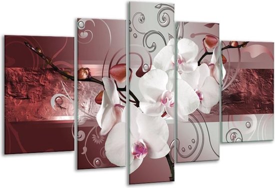 Glasschilderij Orchidee - Wit, Grijs - 170x100cm 5Luik - Foto Op Glas - Geen Acrylglas Schilderij - 6000+ Glasschilderijen Collectie - Wanddecoratie
