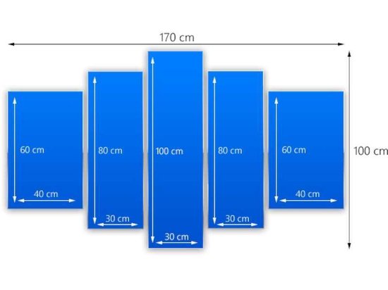 Peinture sur verre tulipe | Bleu, violet, rose | 170x100cm 5 Liège | Tirage photo sur verre |  F004176