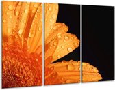 GroepArt - Schilderij -  Bloem - Zwart, Oranje - 120x80cm 3Luik - 6000+ Schilderijen 0p Canvas Art Collectie
