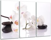 GroepArt - Schilderij -  Orchidee - Wit, Zwart - 120x80cm 3Luik - 6000+ Schilderijen 0p Canvas Art Collectie