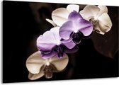 Peinture sur toile Orchidée | Violet, noir, gris | 140x90cm 1 Liège