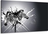 Schilderij Op Canvas - Groot -  Modern, Zebra - Zwart, Wit, Grijs - 140x90cm 1Luik - GroepArt 6000+ Schilderijen Woonkamer - Schilderijhaakjes Gratis