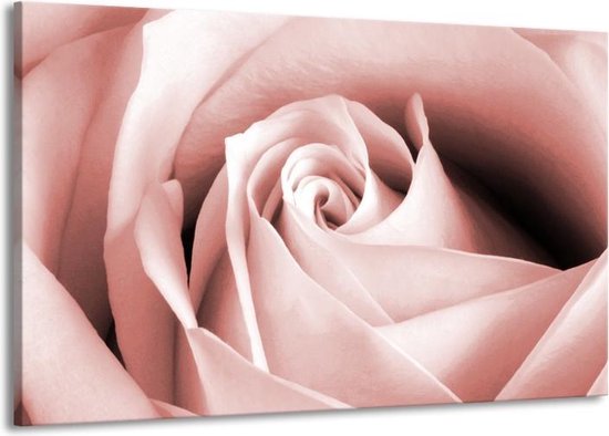 Peinture | Peinture sur toile Rose, Fleur | Marron, rouge | 140x90cm 1 Liège | Tirage photo sur toile
