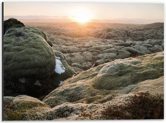 Dibond - Mossige Rotsen met Ondergaande Zon - 40x30 cm Foto op Aluminium (Wanddecoratie van metaal)