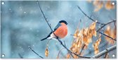 Affiche de jardin - Vogel - Rouge-gorge - Branches - Feuilles - Goud - Or - 80x40 cm - Posters de jardin - Décoration murale - Décoration de jardin
