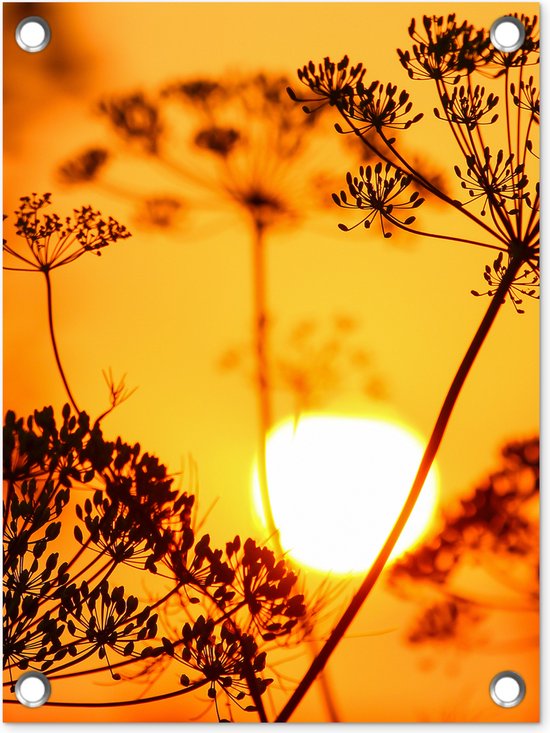 Décoration de Jardin Plantes - Fleurs - Coucher de soleil - Oranje - 30x40 cm - Toile de jardin - Poster extérieur