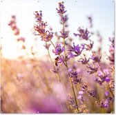 Tuin poster Lavendel - Close-up - Zon - Bloemen - Paars - 200x200 cm - Tuindoek - Buitenposter