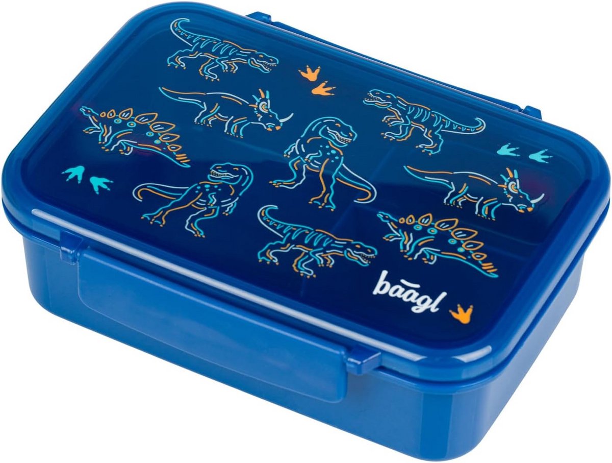Broodtrommel voor kinderen met vakken - lunchbox voor meisjes en jongens