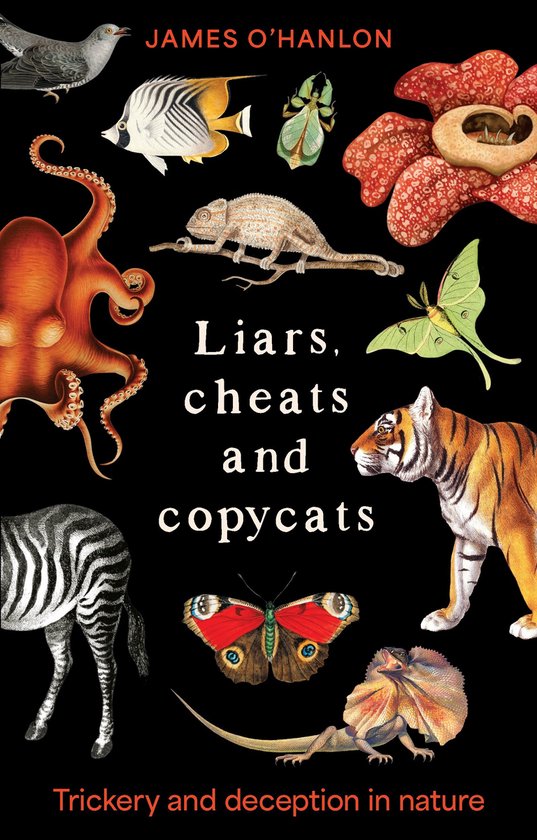 Liars, Cheats and Copycats - cover