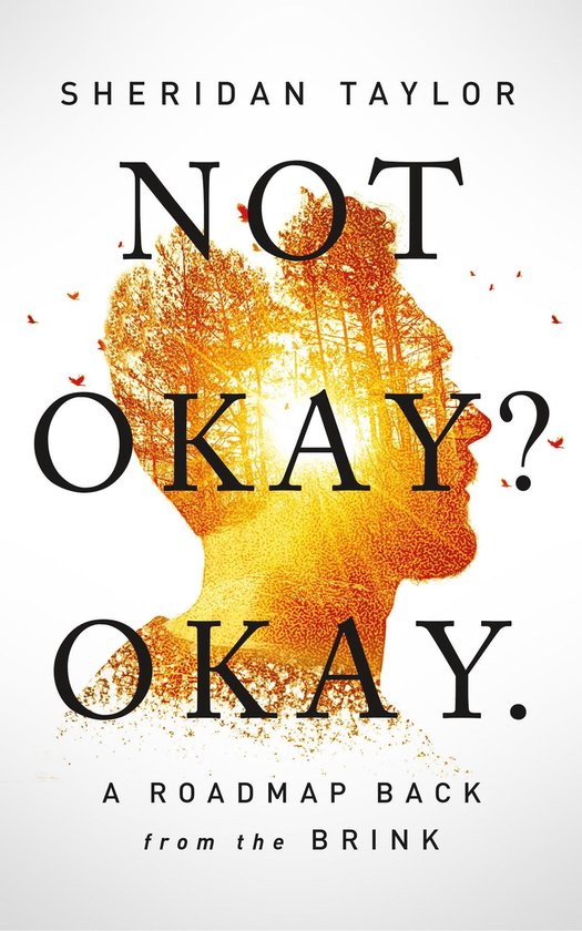 Not Okay? Okay. - cover