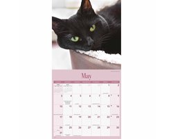Zwarte Katten Kalender 2026