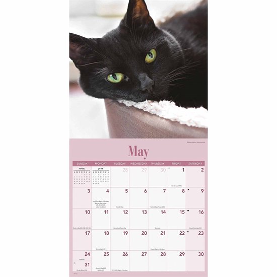 Zwarte Katten Kalender 2026