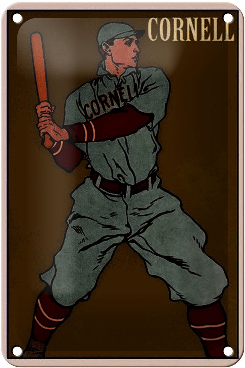 Blechschild Retro 12x18cm Cornell Baseball Schlagmann