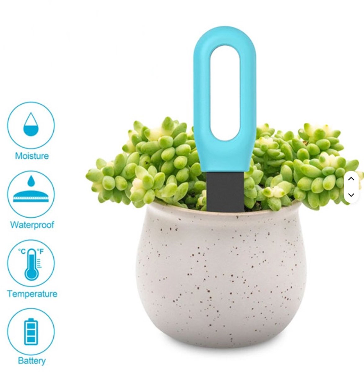 WiFi sensor temperatuur en luchtvochtigheid met de Tuya Smart Life APP - Plant Care Tools