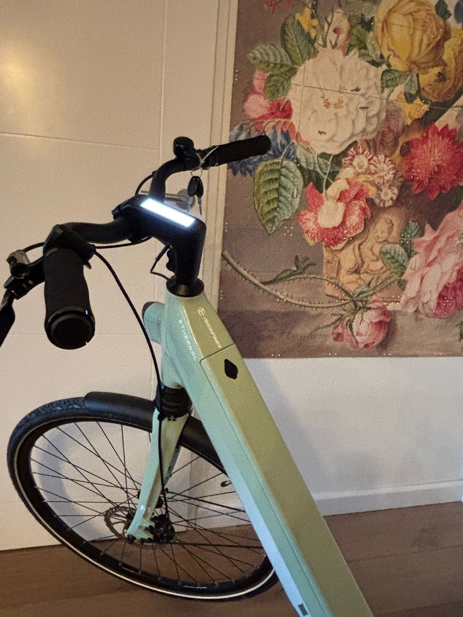 E-bike dames met riemaandrijving frame maat 50 cm – foto 7