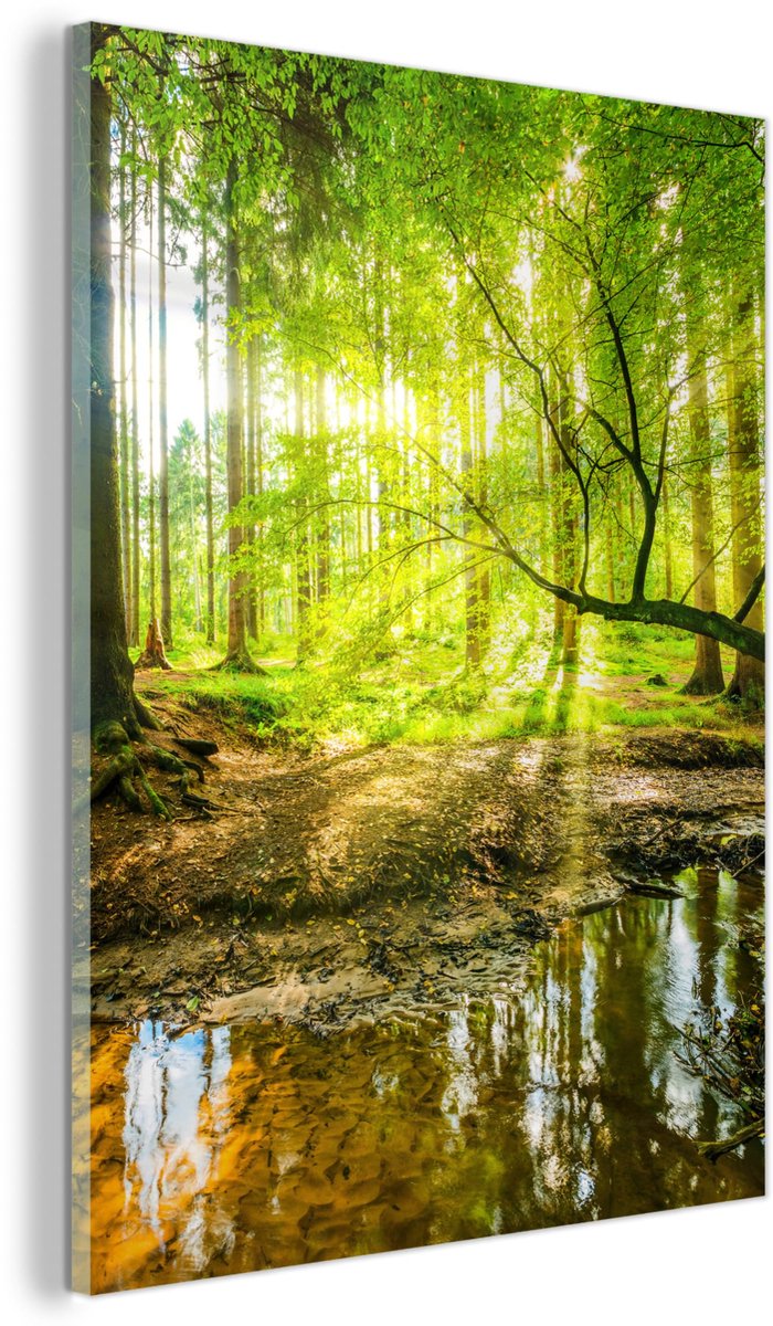 Unyqoos Landschapsschilderij van 30x40 cm voor Natuurlijke Wanddecoratie groen