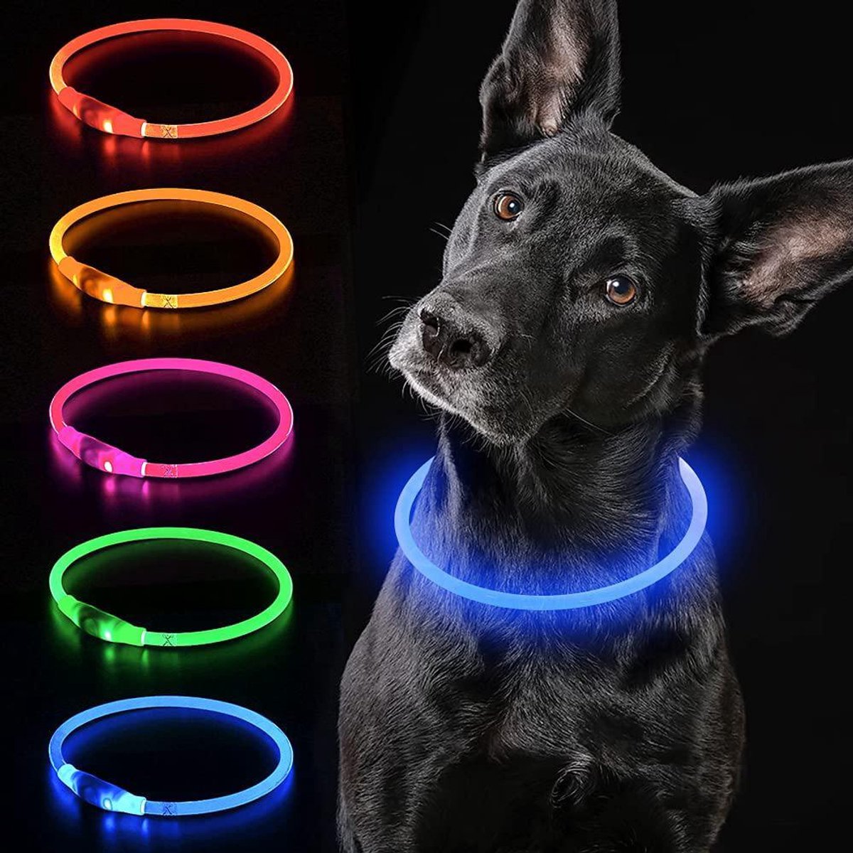 TuseRxln LED Halsband Hond - Honden Verlichting - USB Oplaadbaar Licht - 1 Stuk - Nachtwandelingen blauw