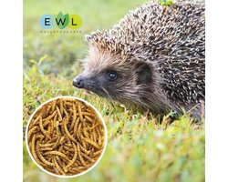 Gedroogde meelwormen 4L - Voeding voor vogels, vissen, reptielen en knaagdieren